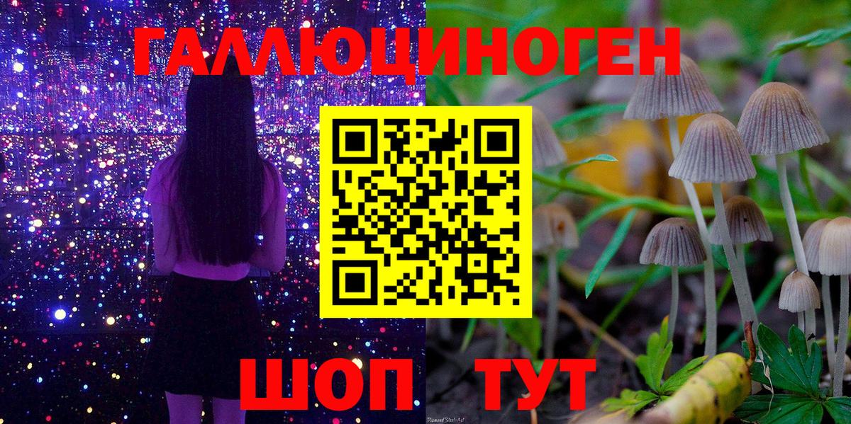 Псилоцибиновые грибы мухоморы Строитель